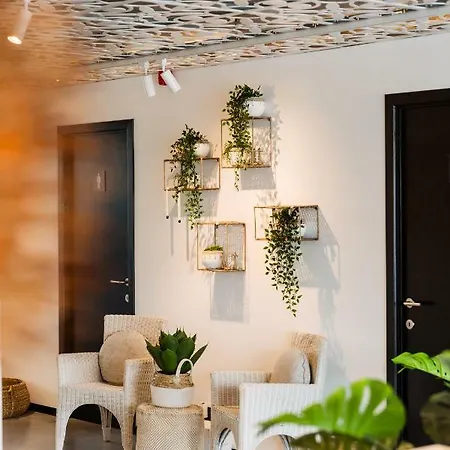 فندق C-hotels Zeegalm 3*
